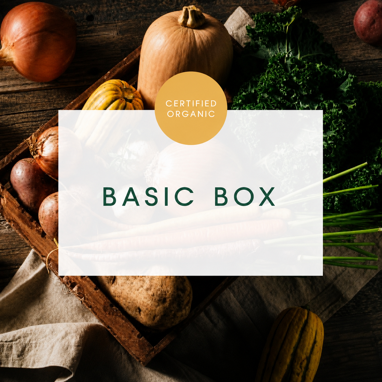 Basic Box