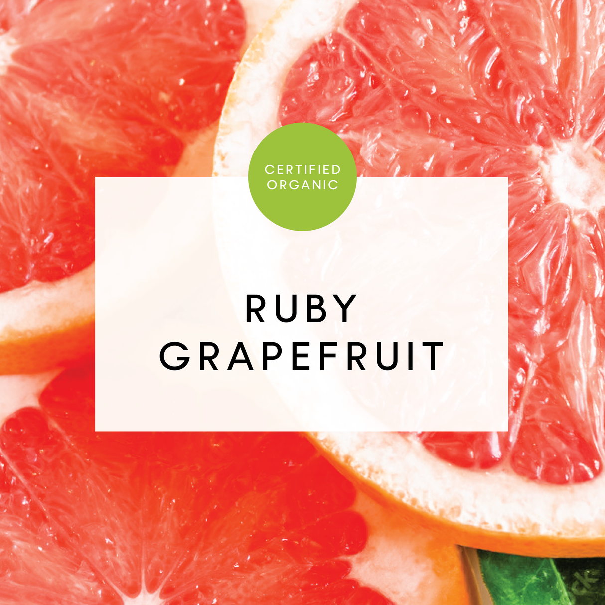 Grapefruit Ruby - Each - (Brouca Farm - AU)