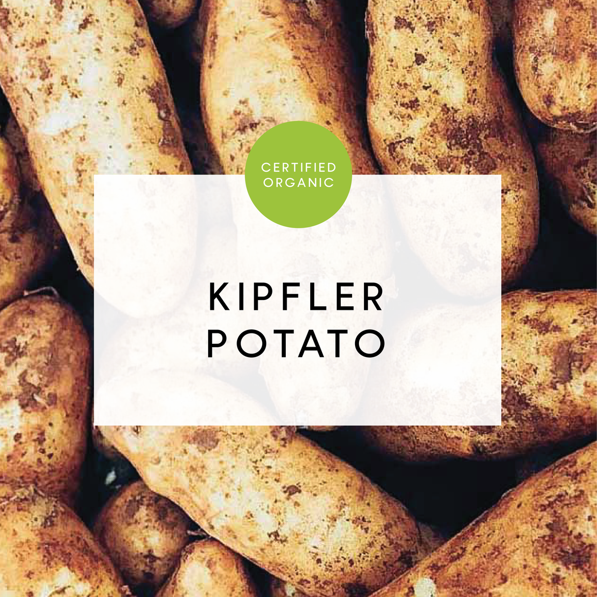 NEW!! Potato Kipfler 500g - (BioFarms - TAS)