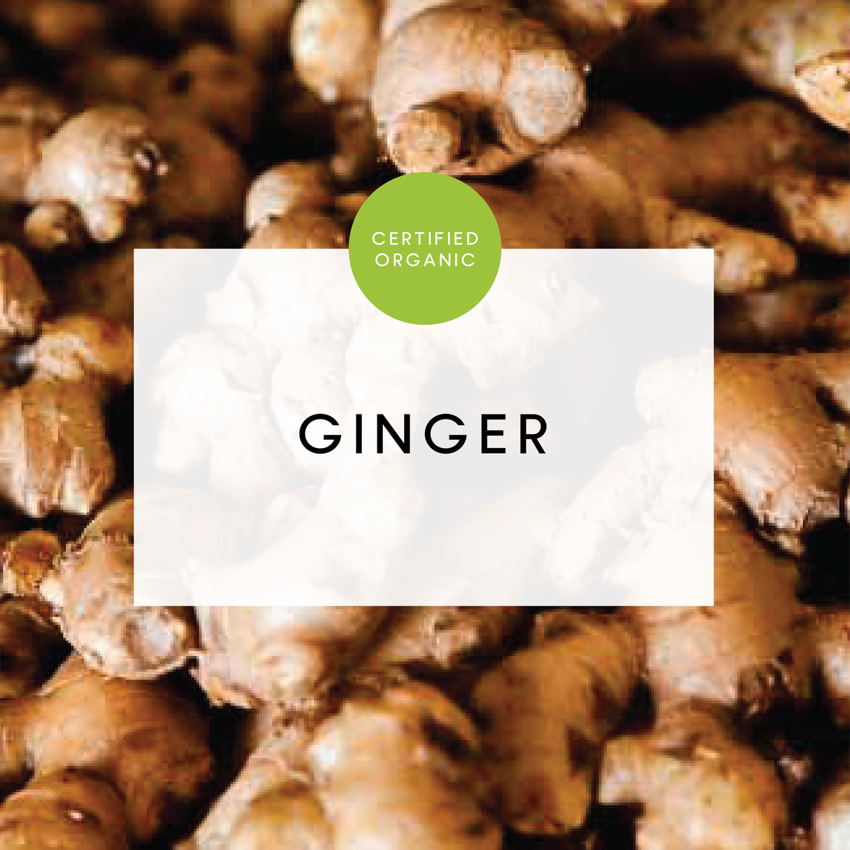 Ginger 100g - (Little Bunya Farm - QLD)