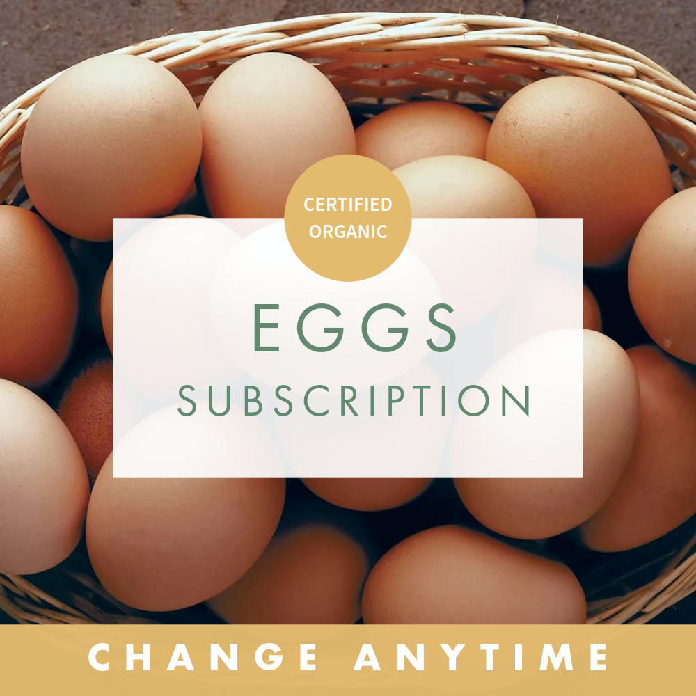 Eggs - Subscription