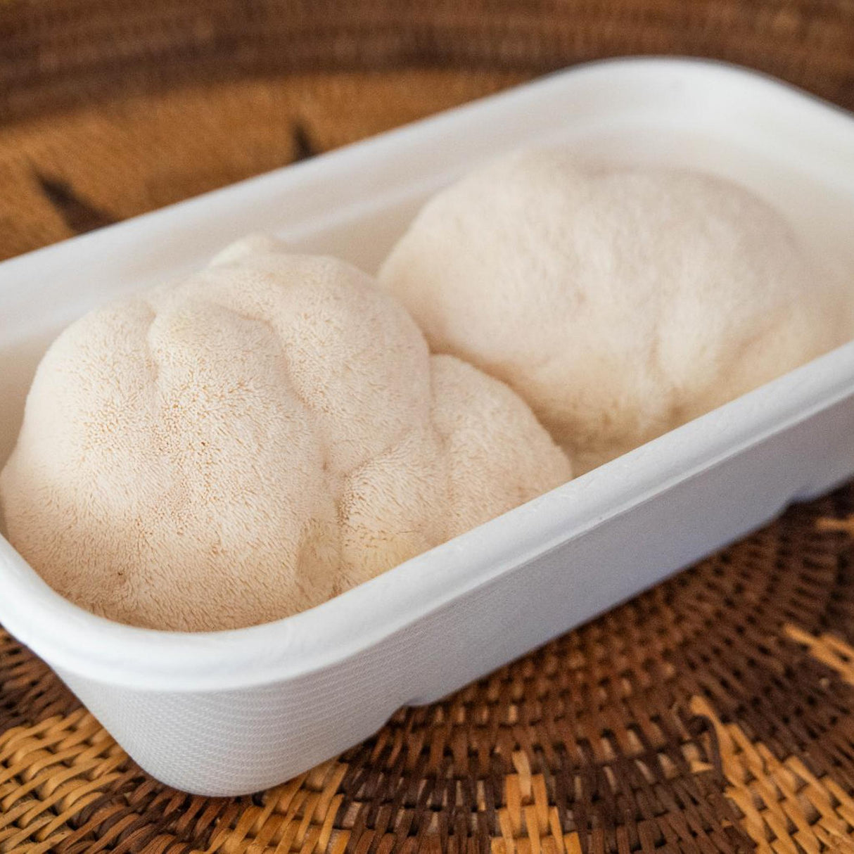 Lions Mane Mushrooms - 250g - Locally Sourced - (Macwood Mushroom co - Hannam Vale)