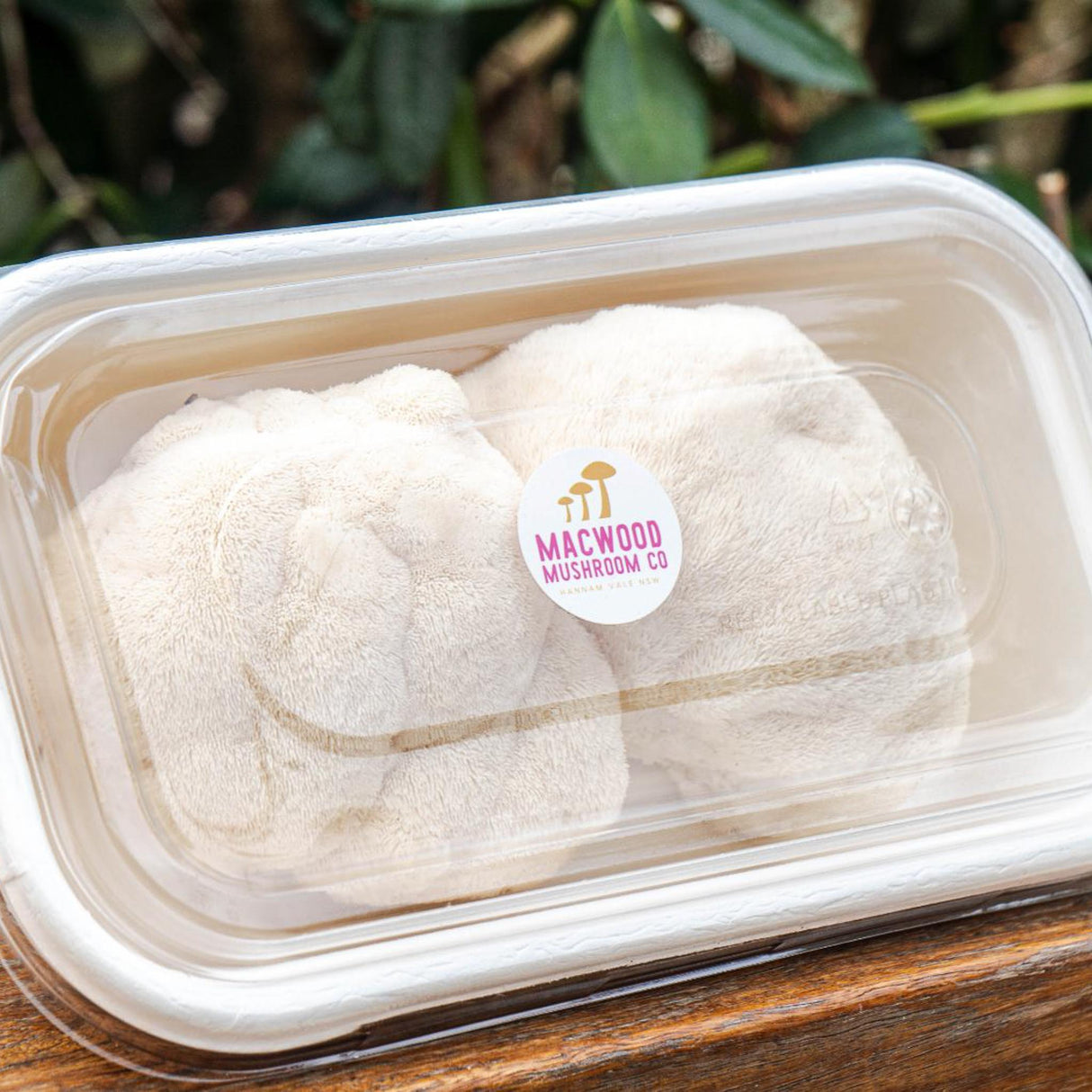 Lions Mane Mushrooms - 250g - Locally Sourced - (Macwood Mushroom co - Hannam Vale)