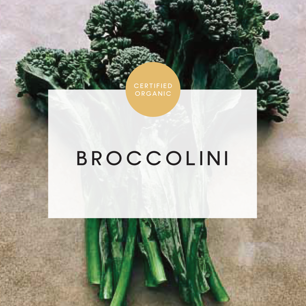 Broccolini Bunch - Green - (Frais Farm - VIC)