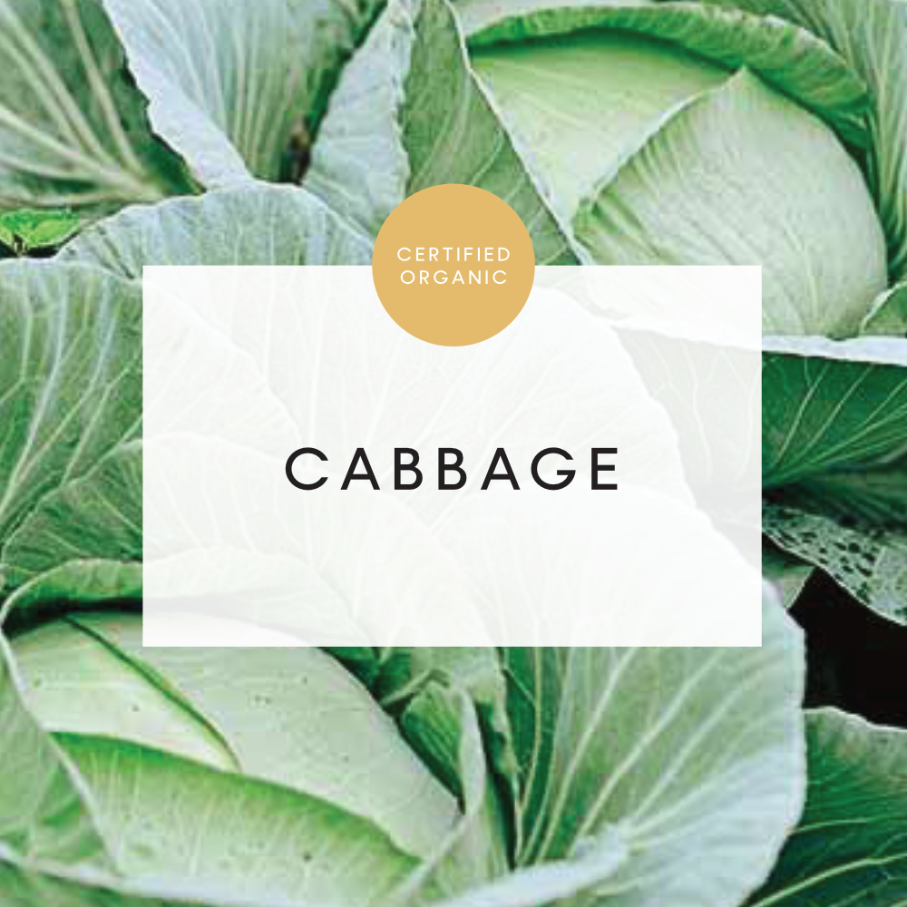 Cabbage Green - Half - MT Whitestone