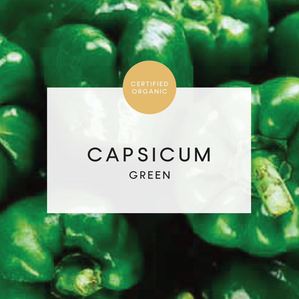 Capsicum Green - Each - (Eldridge Farm - SA)