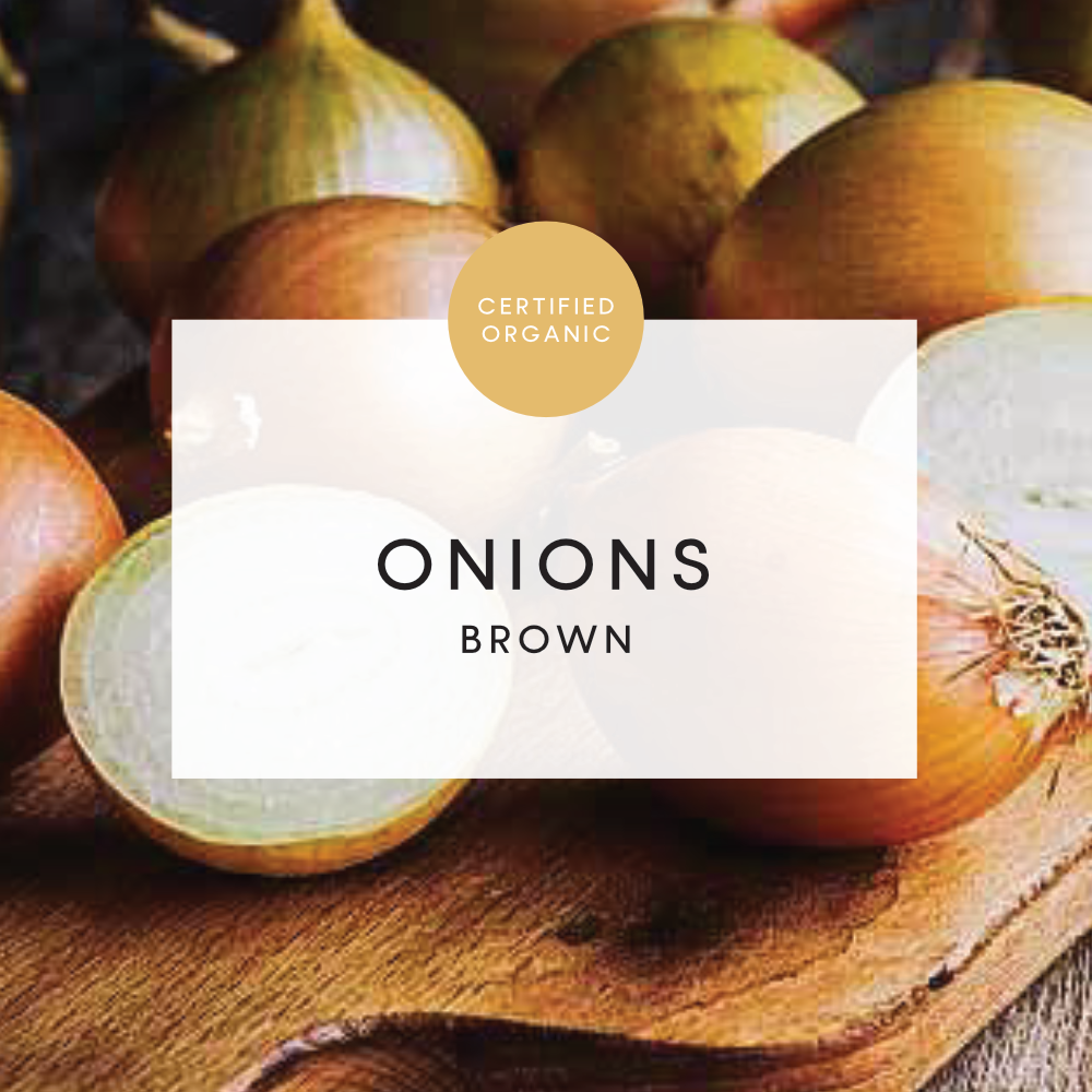 Onion Brown 1kg approx - (Whitestones Farm - QLD)
