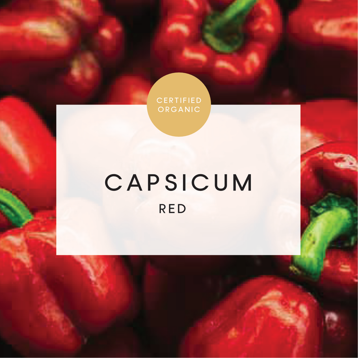 Capsicum Red - 300g - (Eldridge Farm - SA)