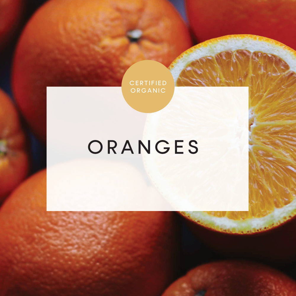 Oranges - Locally Sourced - (Doraville Organics Farm - Moorland)