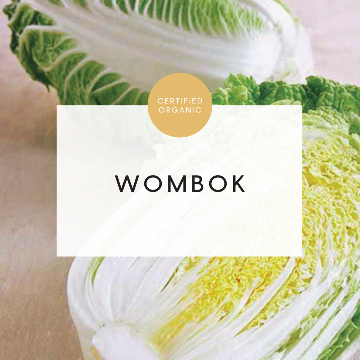 Wombok