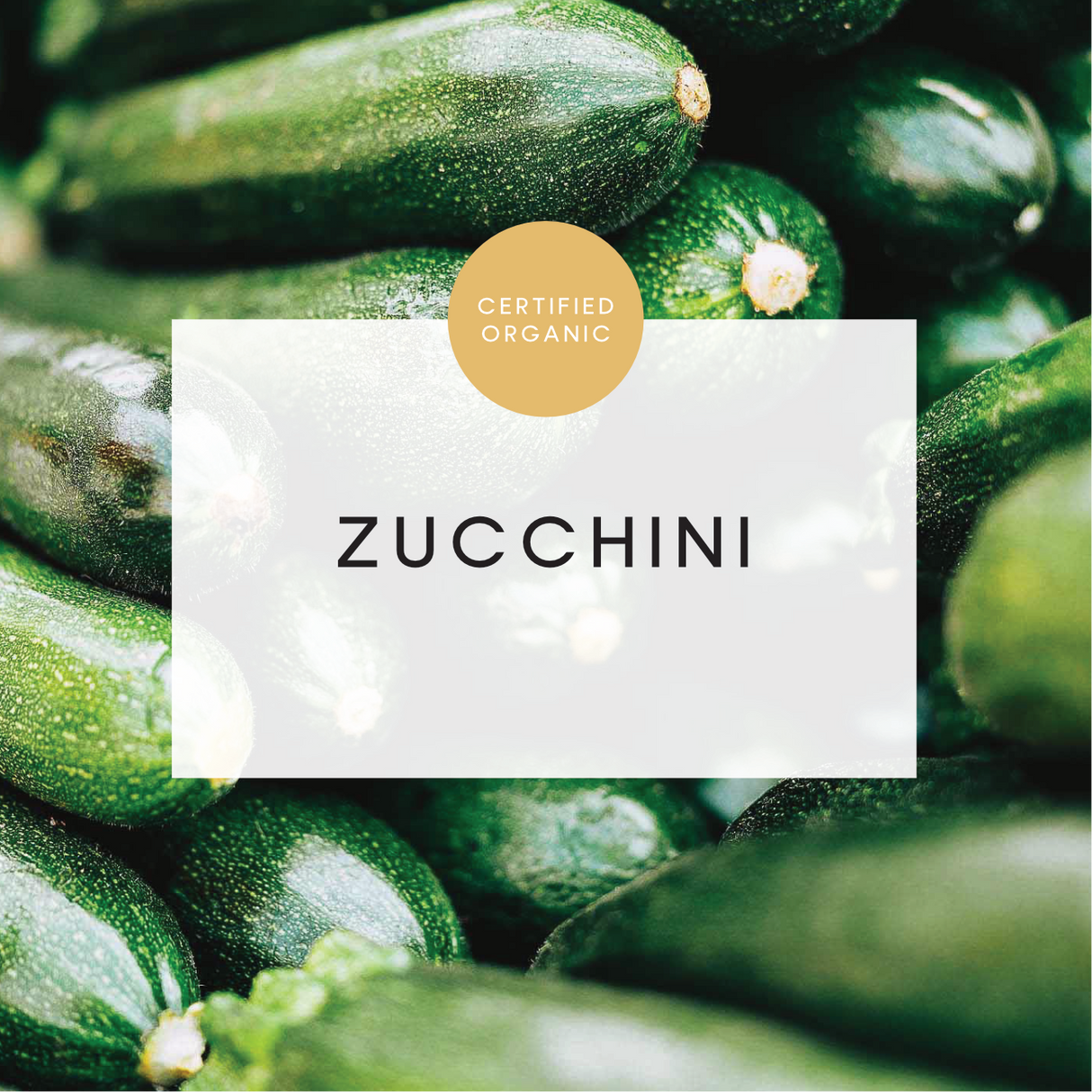 Zucchini - 250g - (Isis River Farm - QLD)