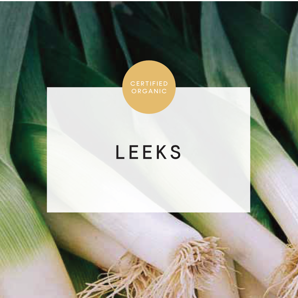 Leek - Each - (Busch Farm - QLD)