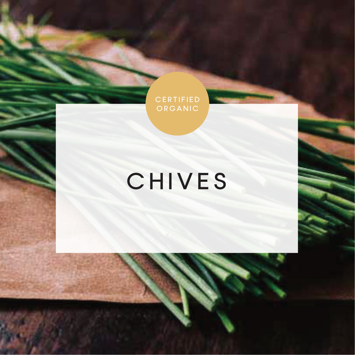 Chives Bunch - (Coolibah Farm - VIC)
