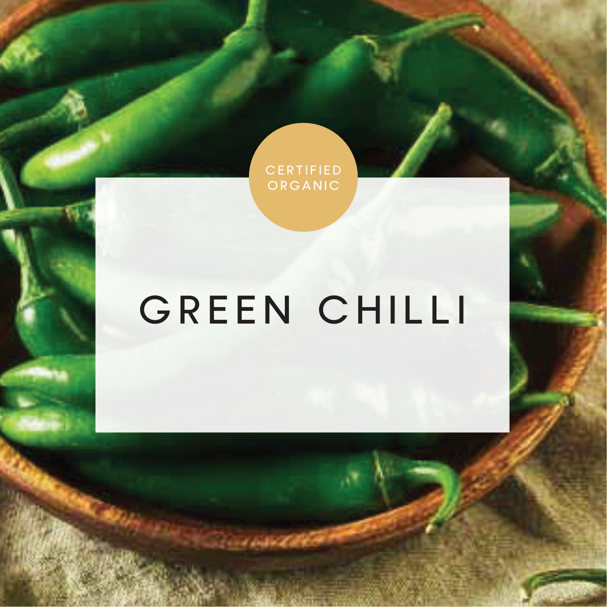 Chilli - Green