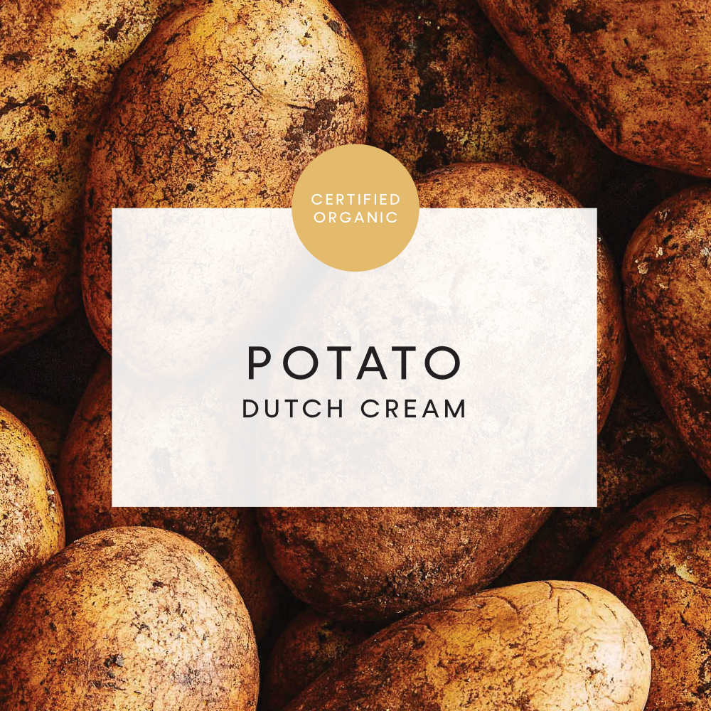 Potato Dutch Cream 1kg - (Bio Farm - TAS)