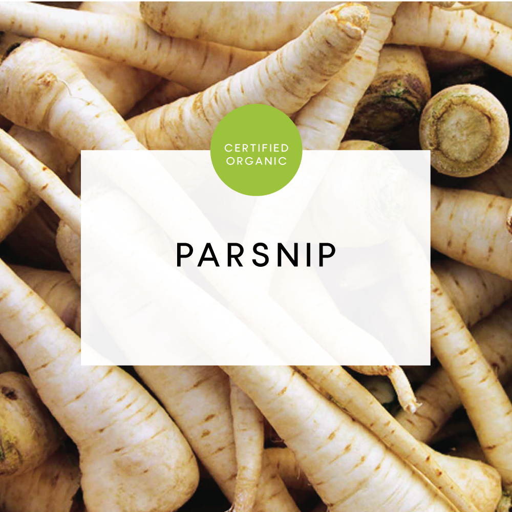 Parsnip - each 250g - (Phil Bauer - QLD)