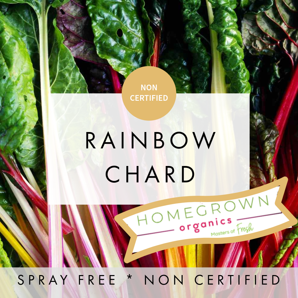 Rainbow Chard