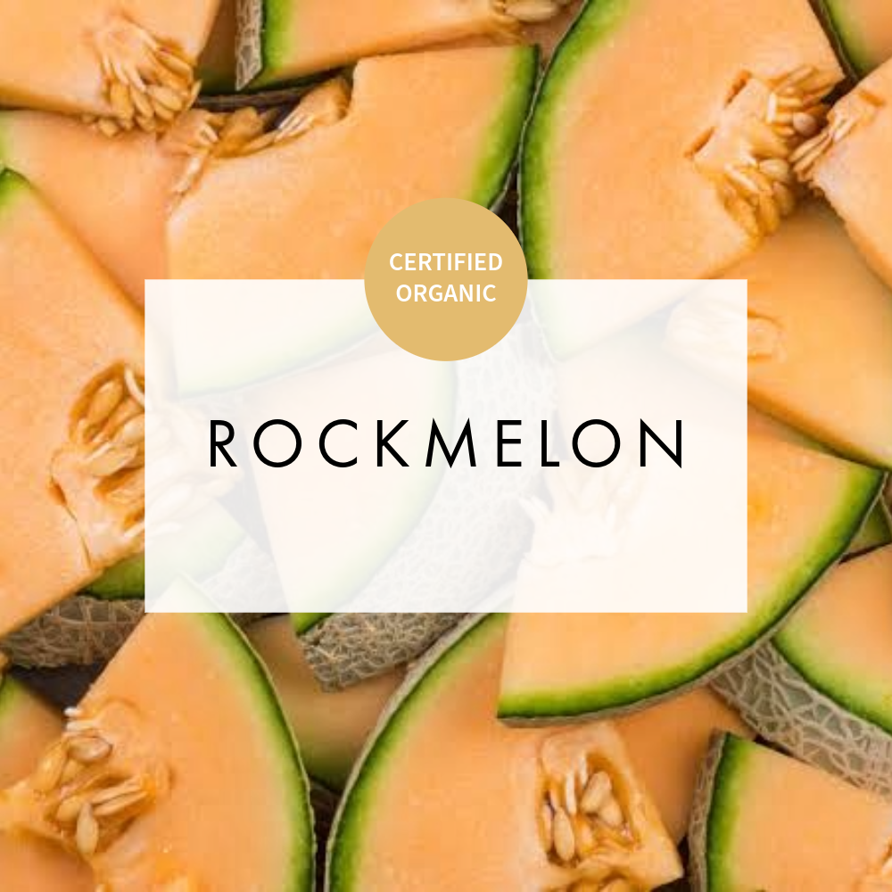 Rockmelon