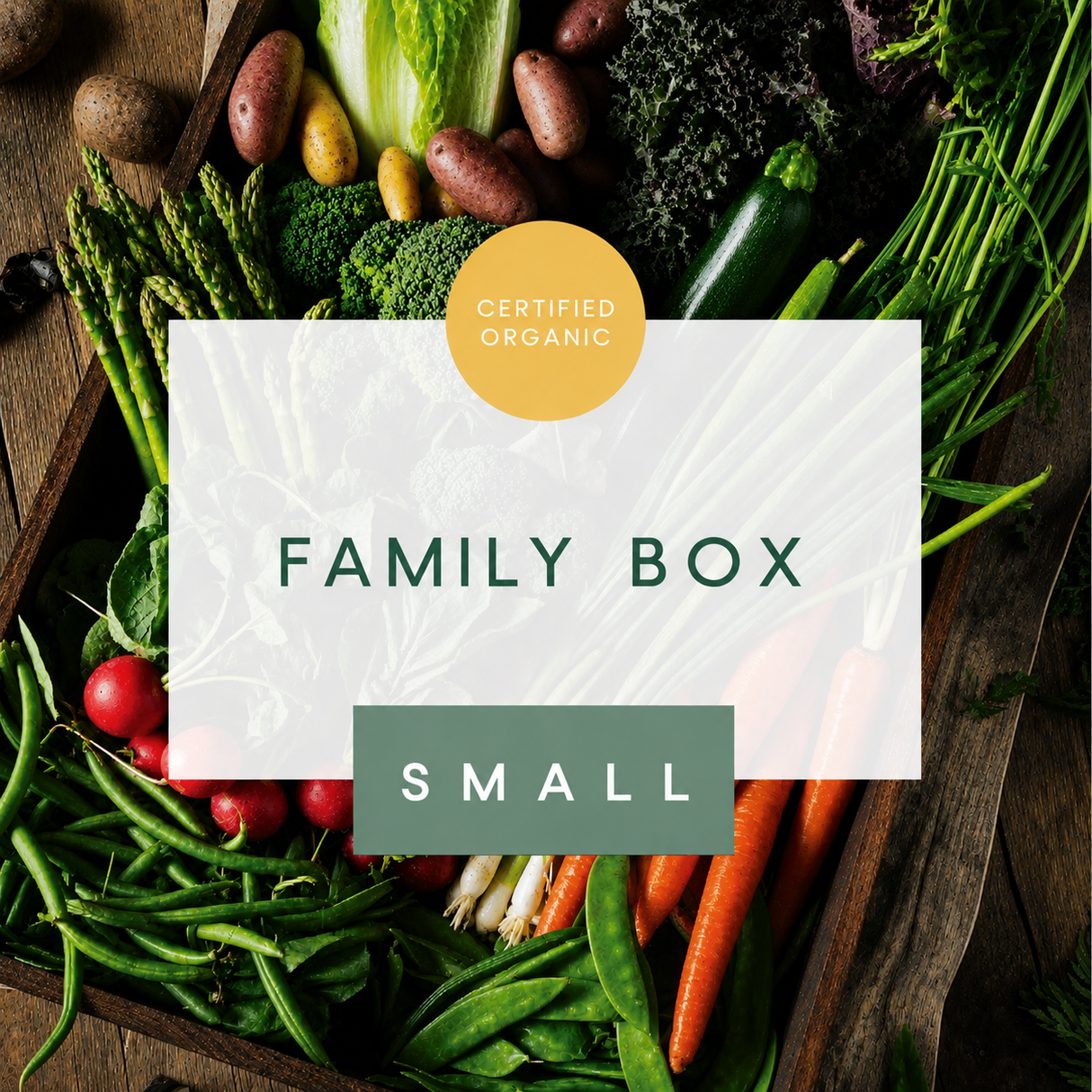 Family Box - Small