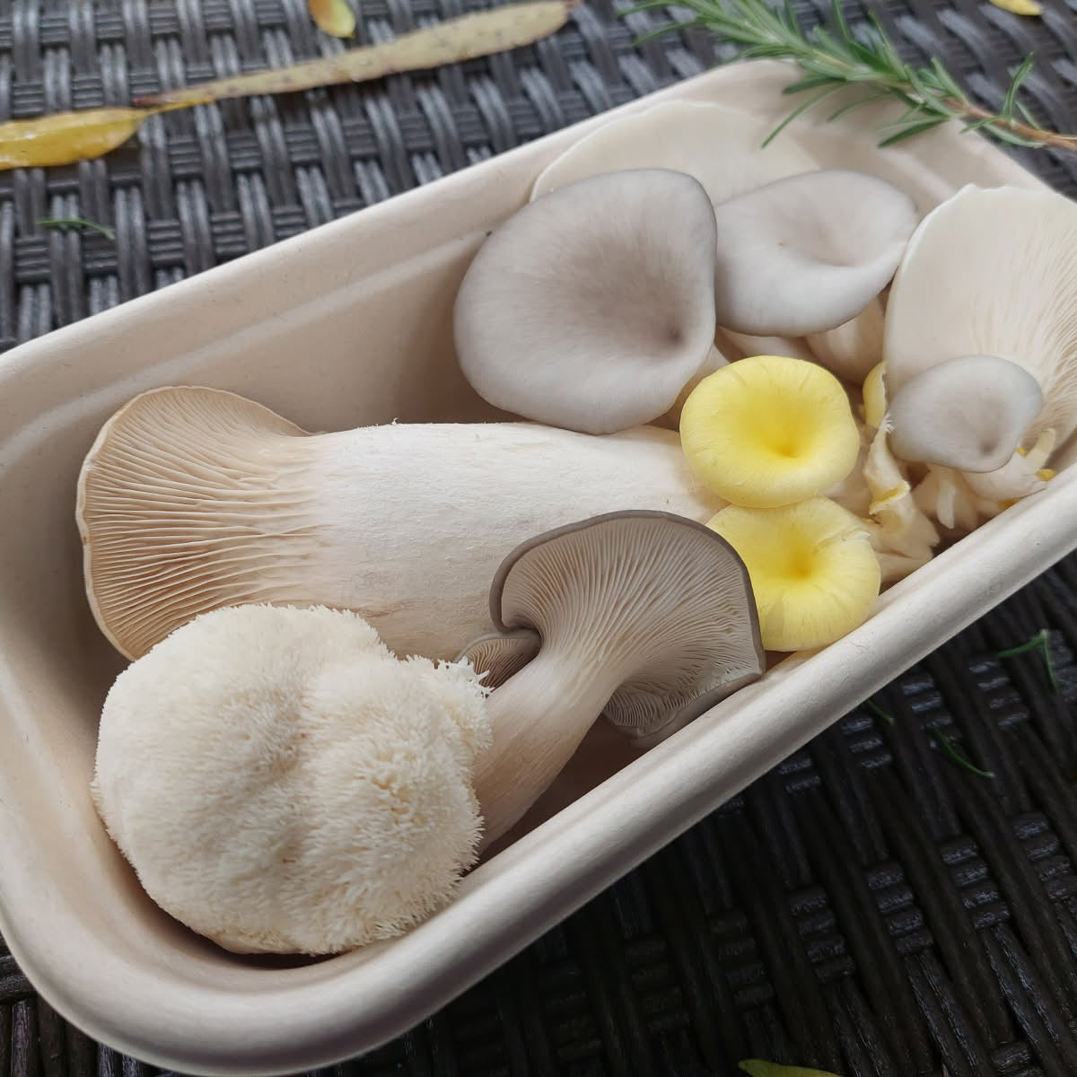 Mixed Mushrooms - Oyster, Shiitake, Lions Mane & Chestnut - 200g - Locally Sourced - (Macwood Mushroom co - Hannam Vale)