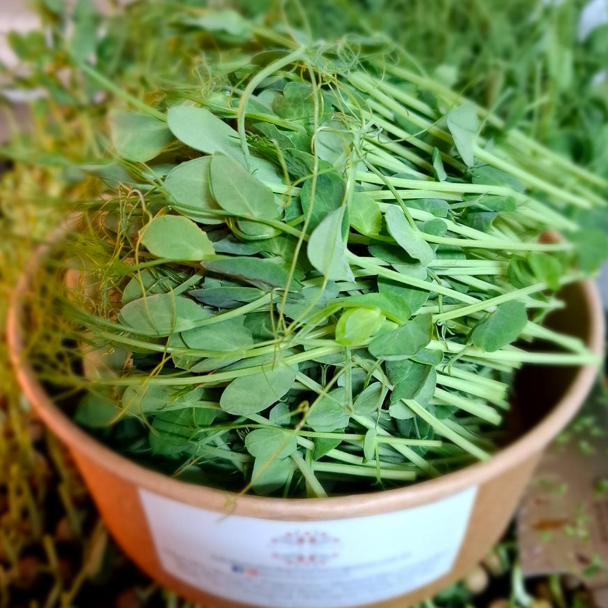 Pea Shoots - Locally Sourced (Petal & Sprout Farm)