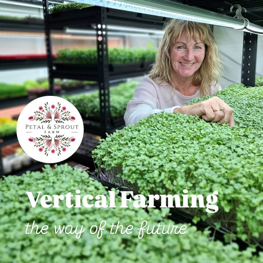Micro Greens -Women’s Health Mix - Locally Sourced (Petal & Sprout Farm)