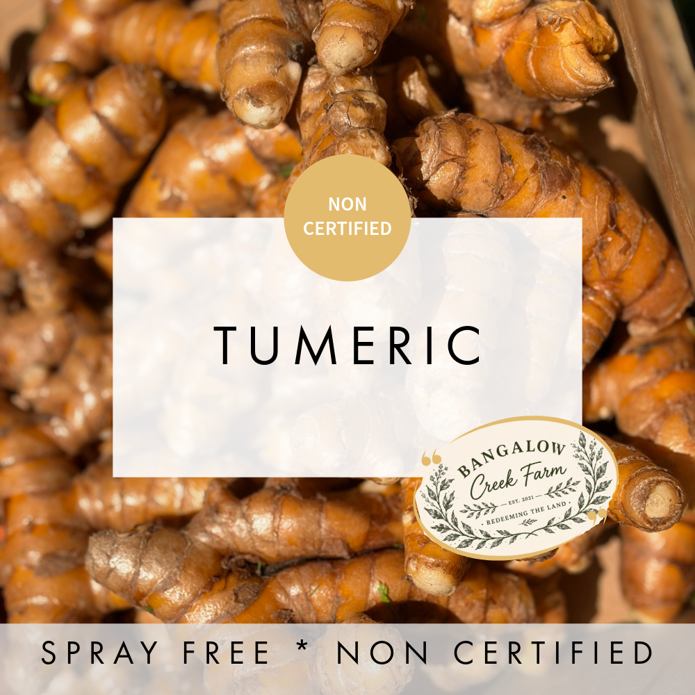 Turmeric
