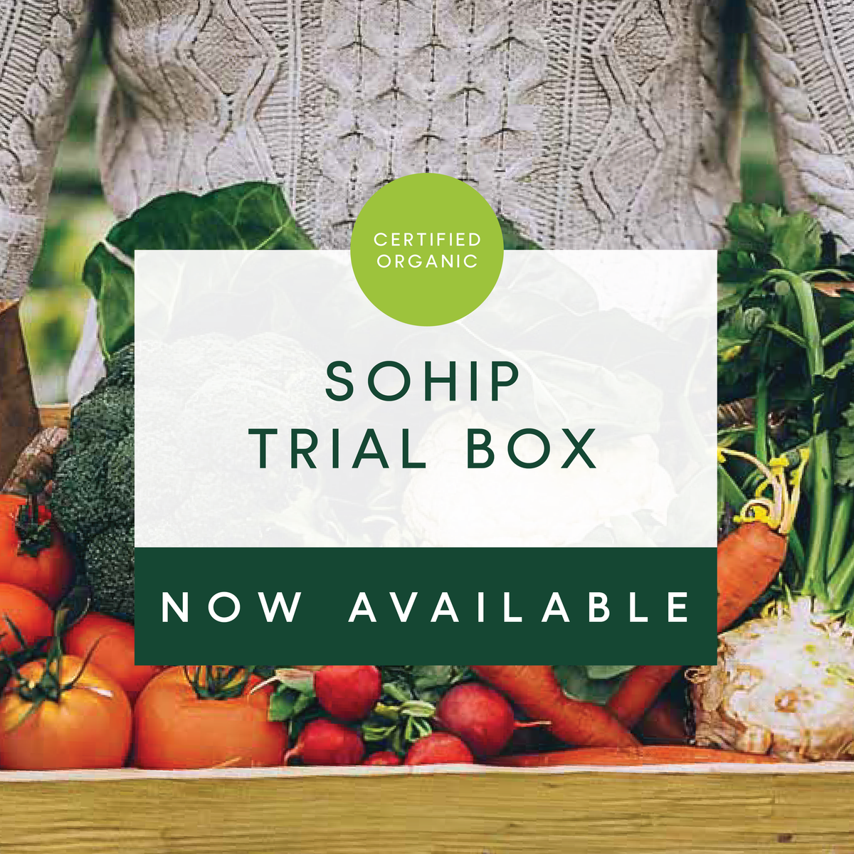 Sohip Trial Box Organic Fruit and Veg Box