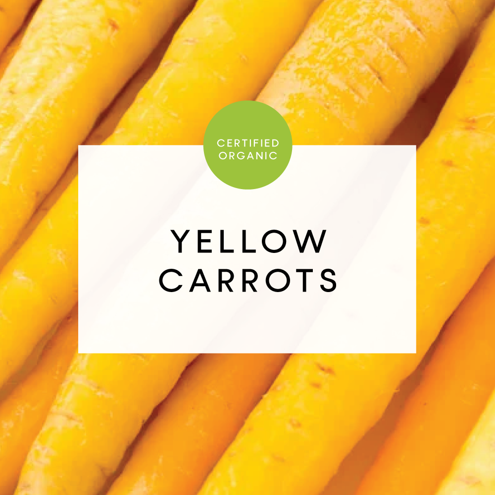 Carrots Yellow - Loose - 500g - (Phil Bauer Farm - QLD)