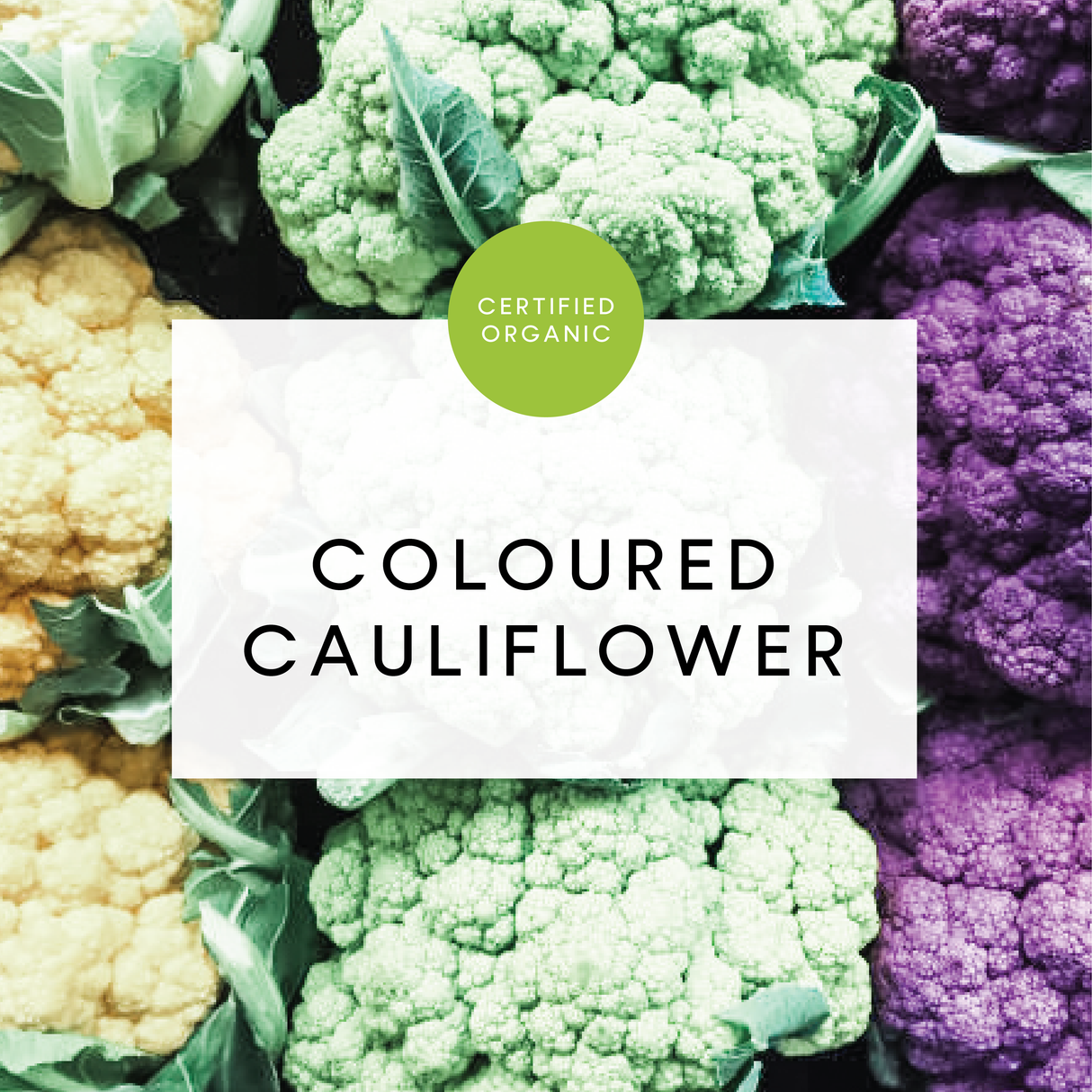 Coloured Cauliflower - Whole - (Eldridge Farm - SA)
