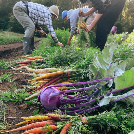 What if Every Farm was Organic?