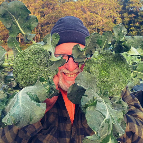 Get Ready! Your Winter Veg is Lookin So Good