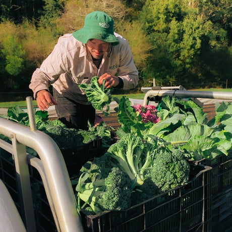 When Should You Eat Broccoli?? Does it even matter?!