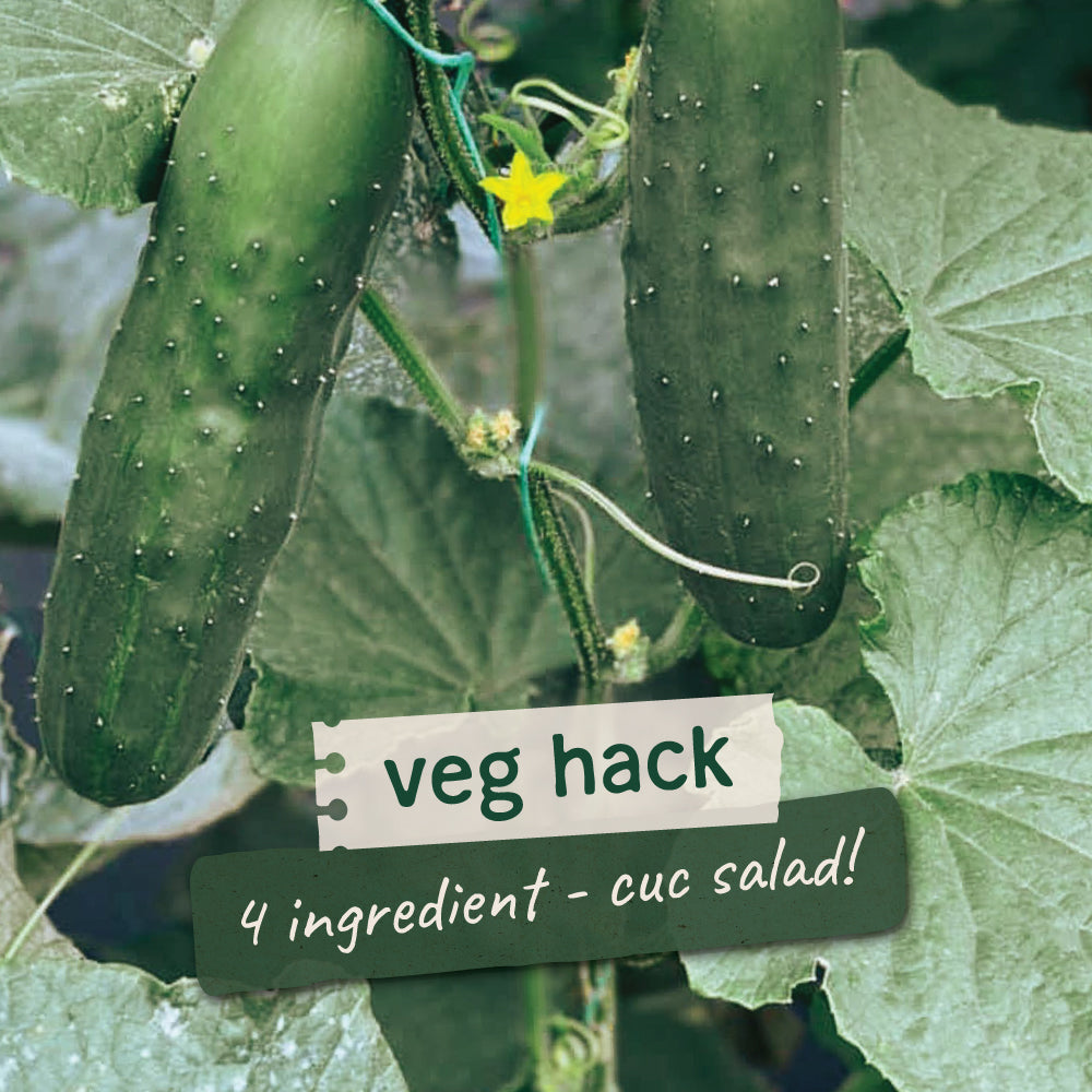 Veg Hacks veg-hacks