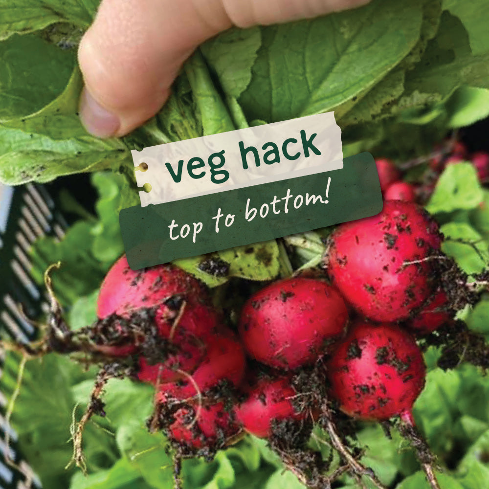 Use Your Radish Tops, No Waste