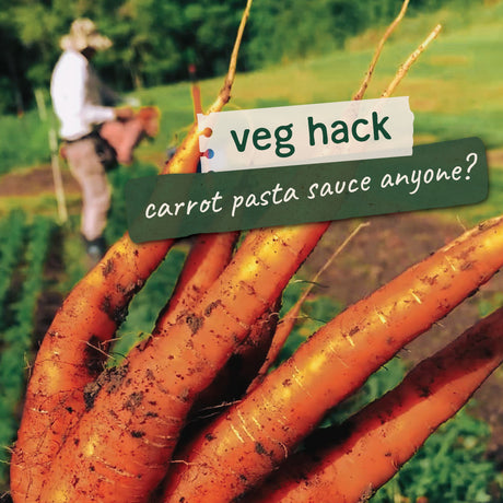 Looking for a way to use up your carrots?