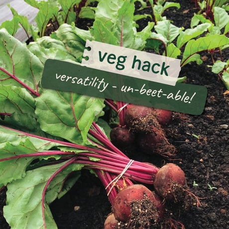 There Are So Many Ways To Use The Humble Beetroot!