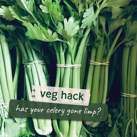 Bring Your Celery Back Life