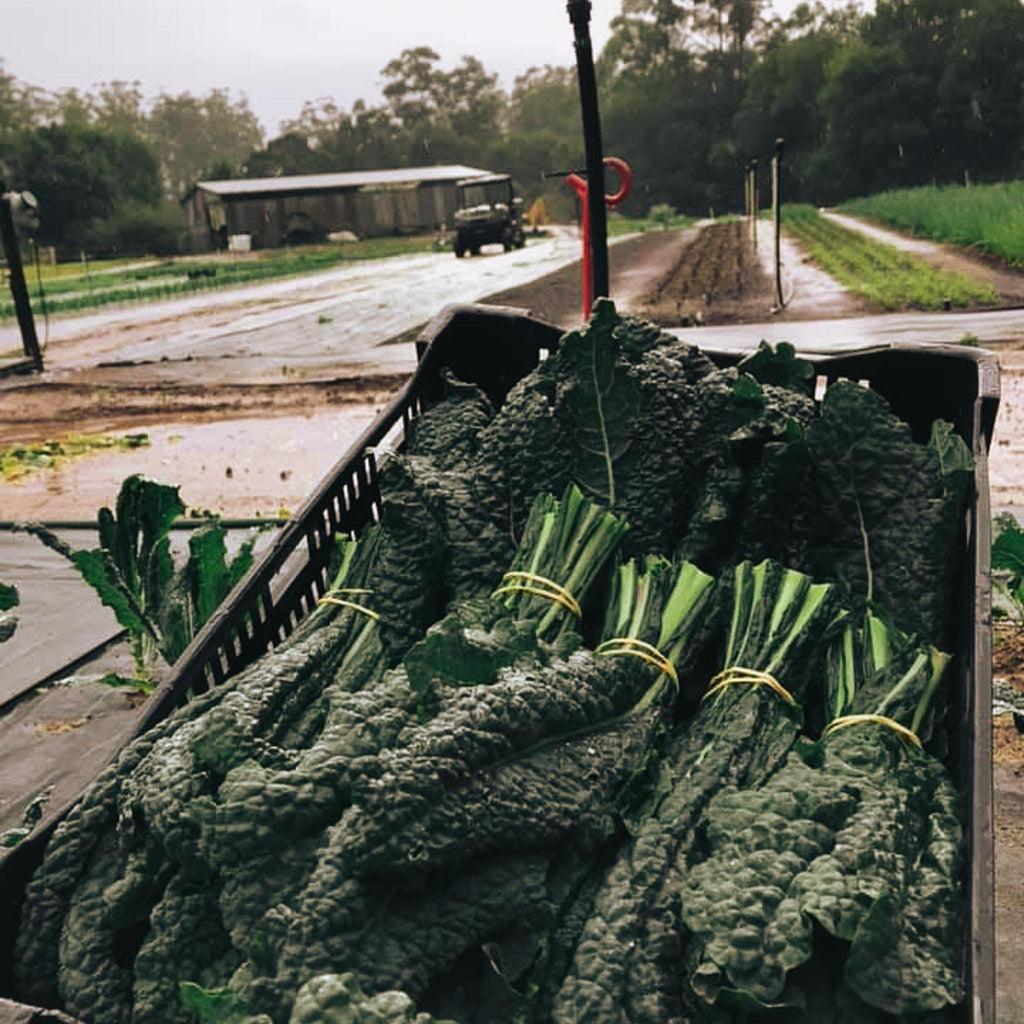 It's a Difficult Time of Year to Receive So Much Wet Weather