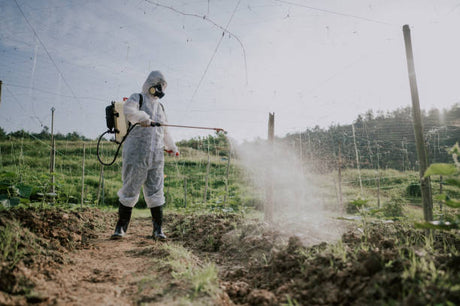 The Story of Glyphosate - The Most Successful Chemical Used To Grow Our Food
