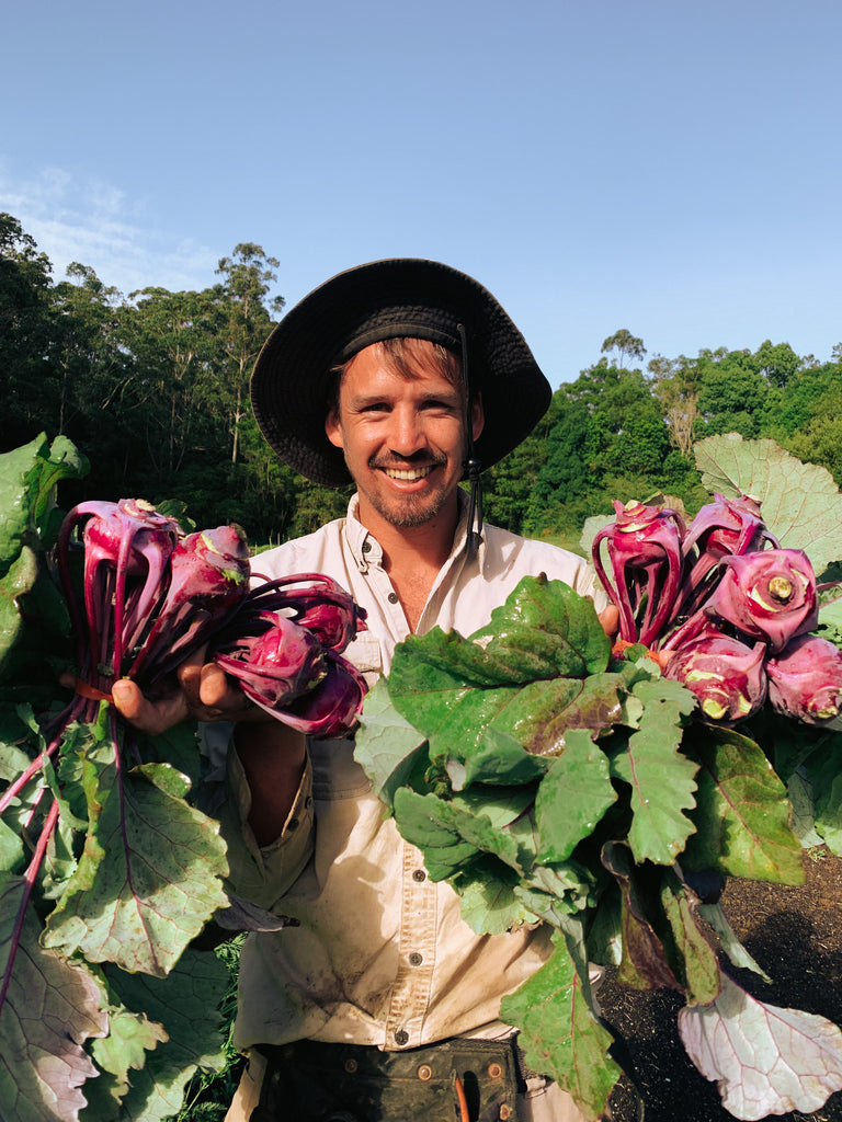 Update On The Farm Front