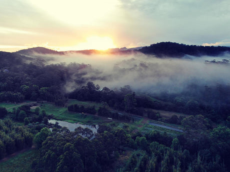 A Morning On The Farm