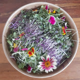 Micro Greens -Women’s Health Mix - Locally Sourced (Petal & Sprout Farm)