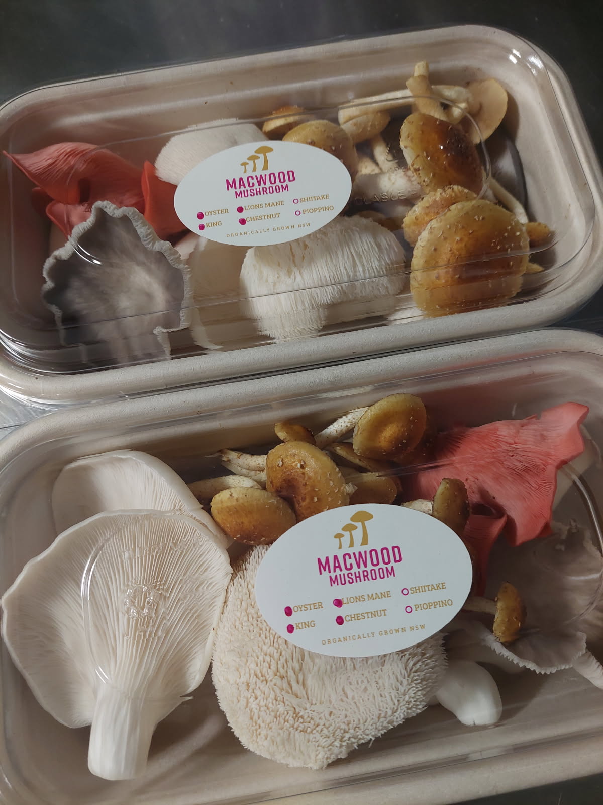 Mixed Mushrooms -  Oyster, Shiitake, Lions Mane & Chestnut - 200g - Locally Sourced - (Macwood Mushroom co - Hannam Vale)