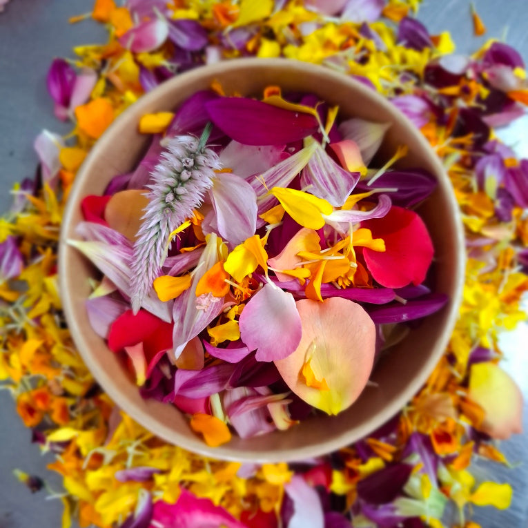Fresh Edible Petal Confetti Mix - Locally Sourced (Petal & Sprout Farm)