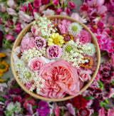Edible Blooms - Locally Sourced (Petal & Sprout Farm)