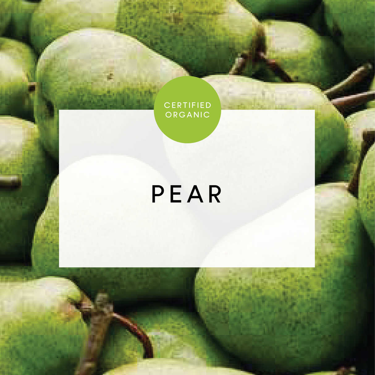 Pear - Packham - Each - (Pozier Farm - QLD)