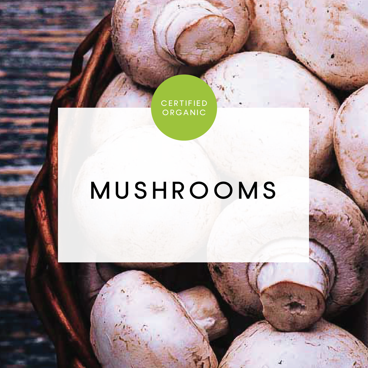 Mushroom - White