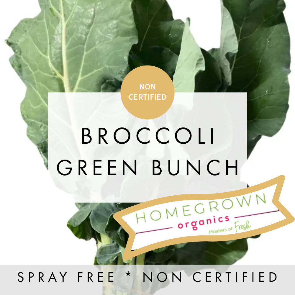 Broccoli Bunch Green
