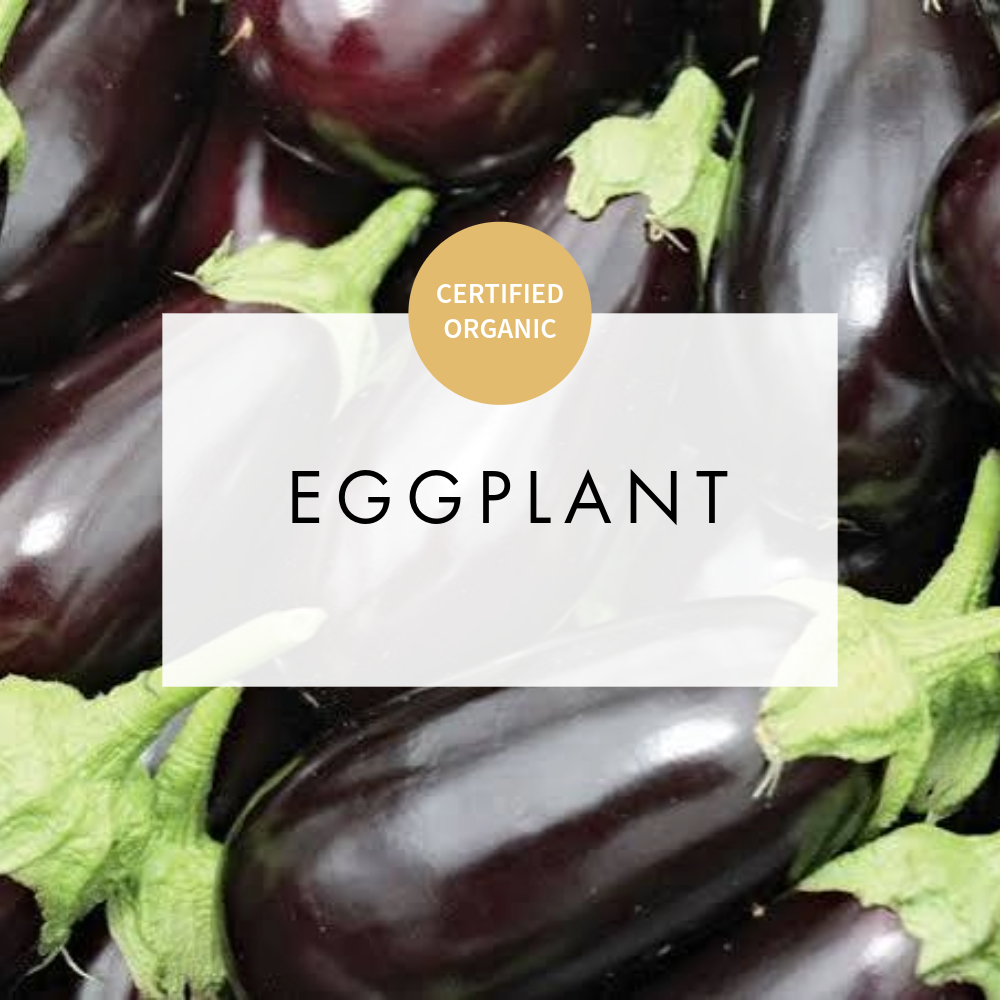 Eggplant
